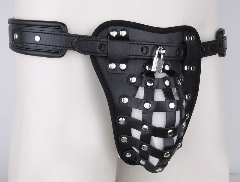 harness front.jpg